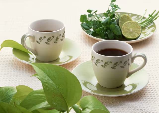 Tratamiento de las enfermedades de forma natural